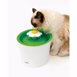 Catit Flower Fountain gamelle et abreuvoir pour chiens et chats Plastique Vert, Blanc Chat Fontaine à eau automatique pour animaux de compagnie
