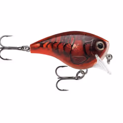 Rapala BXB03, 10 g, 5 cm, 0,9 m