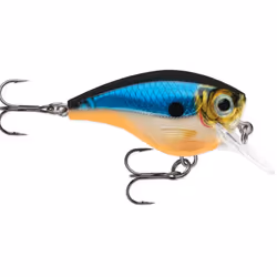 Rapala BXB06, 10 g, 5 cm, 1,8 m