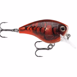 Rapala BXB06, 10 g, 5 cm, 1,8 m