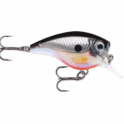 Rapala BXB06, 10 g, 5 cm, 1,8 m