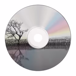 Verbatim 43647 DVD vierge 4,7 Go DVD-R 50 pièce(s)