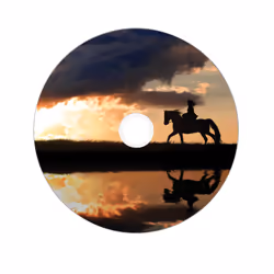 Verbatim 43667 DVD vierge 8,5 Go DVD+R DL 25 pièce(s) - Vue supplémentaire 4