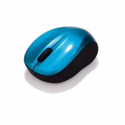 Verbatim Go Nano souris Ambidextre RF sans fil 1600 DPI