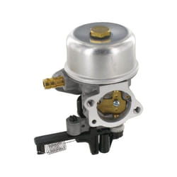 Carburateur briggs et stratton 799226