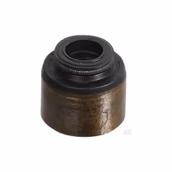 JOINT DE SOUPAPE pour moteur BRIGGS et STRATTON PIECE D 'ORIGINE Pour Moteur : BRIGGS ET STRATTON : 110P02-0003-F1 122Q72-018 ...