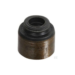 795440 - Joint de Soupape pour moteur briggs et stratton