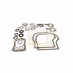 Kit de joints Briggs et Stratton - 495603 Cette pièce de la marque Briggs et Straton convient pour la référence : 495603 pour