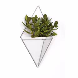 Umbra 470752-670 pot à fleurs Intérieure Kit de plantation en pot Mural Vitrocéramique, Cuivre, Résine Argent, Blanc