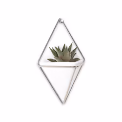 Umbra 470753-670 pot à fleurs Intérieure Kit de plantation en pot Mural Laiton, Vitrocéramique, Cuivre, Résine Argent, Blanc