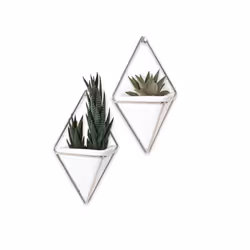 Umbra 470753-670 pot à fleurs Intérieure Kit de plantation en pot Mural Laiton, Vitrocéramique, Cuivre, Résine Argent, Blanc