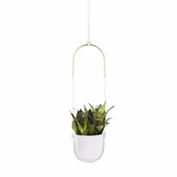 Umbra 1009571-660, Jardinière, Support, Blanc, Rond, Intérieure, Monochromatique