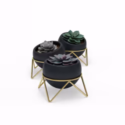 Umbra 1013191-1137, Kit de plantation en pot, Autonome, Vitrocéramique, Métal, Noir, Laiton, Rond, Intérieure