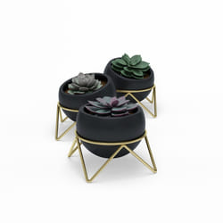 Umbra 1013191-1137 pot à fleurs Intérieure Kit de plantation en pot Autonome Vitrocéramique, Métal Noir, Laiton