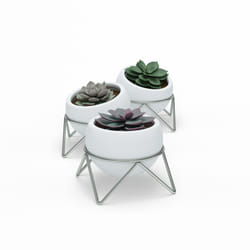 Umbra 1013191-670 pot à fleurs Intérieure Kit de plantation en pot Autonome Vitrocéramique, Métal Nickel, Blanc