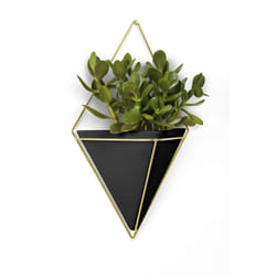 Umbra 470752-1137 pot à fleurs Intérieure Kit de plantation en pot Mural Vitrocéramique, Cuivre, Résine Noir, Or