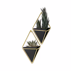 Umbra 470753-1137, Kit de plantation en pot, Mural, Laiton, Vitrocéramique, Cuivre, Résine, Noir, Or, Triangle, Intérieure