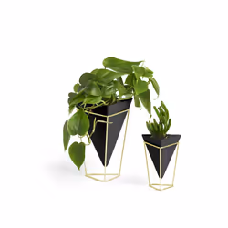 Umbra 1004372-1137 pot à fleurs Intérieure Table de jardinage Autonome Noir