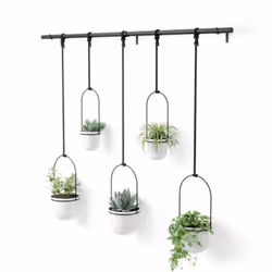 Umbra Triflora, Kit de plantation en pot, Support, Métal, Polypropylène (PP), Noir, Blanc, Rond, Intérieure