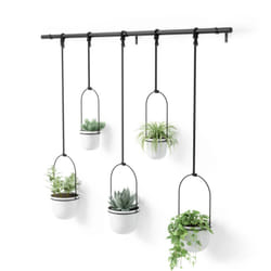Umbra Triflora Intérieure Kit de plantation en pot Support Métal, Polypropylène (PP) Noir, Blanc