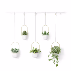 Umbra Triflora, Kit de plantation en pot, Support, Métal, Polypropylène (PP), Laiton, Blanc, Rond, Intérieure