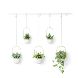 Umbra Triflora Intérieure Kit de plantation en pot Support Métal, Polypropylène (PP) Laiton, Blanc