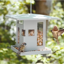 Umbra Bird Cafe mangeoire pour oiseau Gris Plastique Support