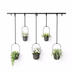 Umbra Triflora, Kit de plantation en pot, Support, Métal, Polypropylène (PP), Noir, Gris, Rond, Intérieure