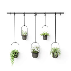 Umbra Triflora Intérieure Kit de plantation en pot Support Métal, Polypropylène (PP) Noir, Gris