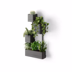 Umbra 1018767-040, Kit de plantation en pot, Mural, ABS, Polypropylène (PP), Acier, Noir, Cube, Intérieure