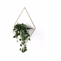 Umbra Trigg support de plantes 10x22x39cm 1 pièce suspendu céramique blanc/or envie d'acheter? Commandez ce produit de haut g ...