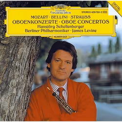 Deutsche Grammophon Vincenzo Bellini Oboenkonzert Oboe Concerto, Classique, Hansjörg Schellenberger, Berliner Philharmoniker, ...