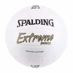 Ballon Spalding Extreme Pro