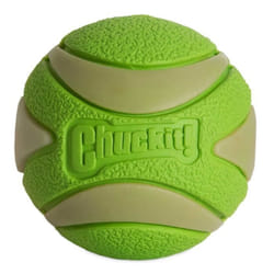 Balle - Chuckit! - Max Glow Ultra Squeaker Ball - Phosphorescente - Couinement - Pour chiens