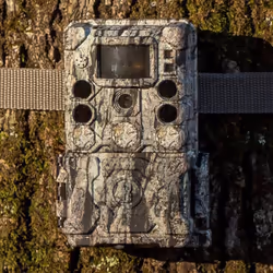 Bushnell 119949M Caméra extérieure Vision nocturne Camouflage 3840 x 2160 pixels