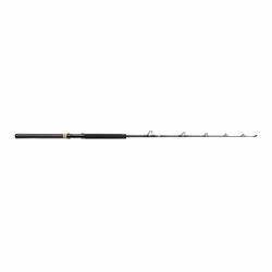 Canne bateau Penn Squall II 30-80lb