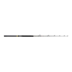 Canne bateau Penn Squall II 30-80lb