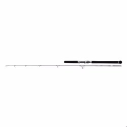 Canne spinning Penn Battalion Solid Jig 200g