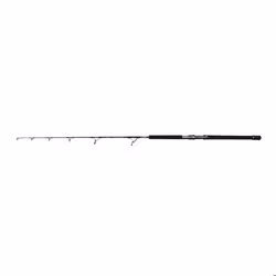 Canne spinning Penn Battalion 50-100lb