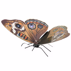Metal Earth Buckeye, Jeu de construction, Métal