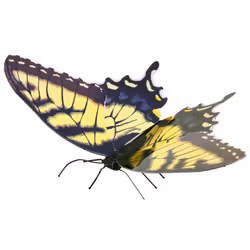 Metal Earth Tiger Swallowtail, Jeu de construction, Métal