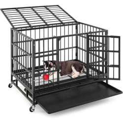 Costway - Cage pour Chien, Cage Chien Pliable à roulettes, 2 Portes Verrouillables, Plateau Amovible, Anti-Mastication, Cage Chien Interieur, Cage de