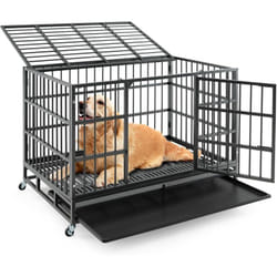 Costway - Cage pour Chien xxl, Cage Chien Pliable à roulettes, 2 Portes Verrouillables, Plateau Amovible, Anti-Mastication, Cage Chien Interieur,