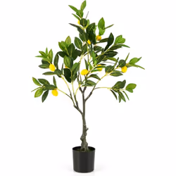 Caractéristiques : Les citrons frais et mignons rendent l'arbre plus charmant et vif Orné de feuilles verdoyantes, de mousse  ...