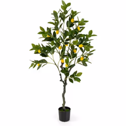 Caractéristiques : Les citrons frais et mignons rendent l'arbre plus charmant et vif Orné de feuilles verdoyantes, de mousse  ...