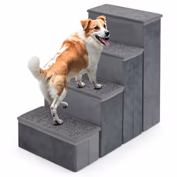 Escalier pour Chien à 4 Marches COSTWAY Compartiments de Rangement Pliable pour Animaux de Compagnie pour Petits et Moyens Ch ...