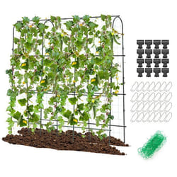 COSTWAY Treillis Arqué de Jardin pour Plantes Grimpantes Treillis en ‘U’ pour Jardin Surélevé pour Légumes Fruits Fleurs Vigne