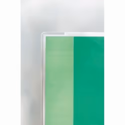 GBC Pochettes brilliantes pour document A3 2x125mic (100)