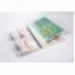 GBC Pochettes de plastification Organise 2x125 brillant A4+(100)