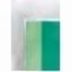 GBC Pochettes brilliantes pour document A3 2x75mic (100)